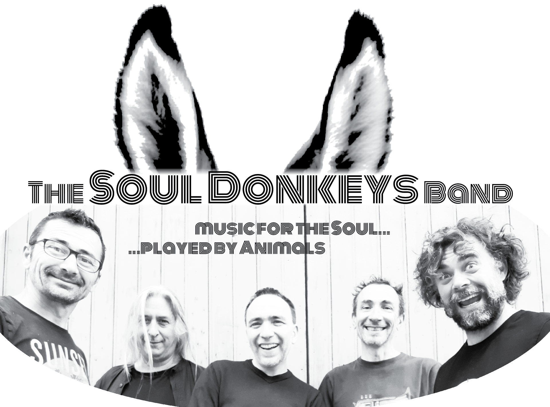 image background Soul Donkeys