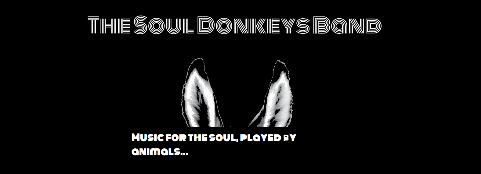 image Soul Donkey